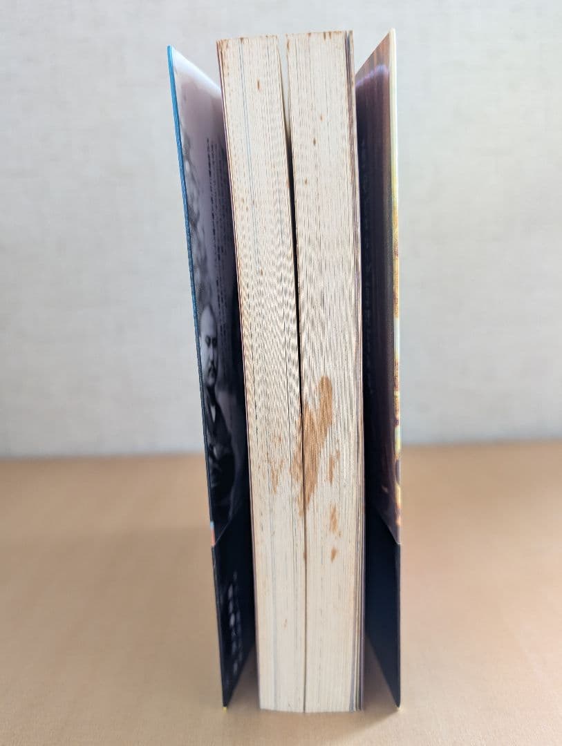 ■すべて帯付き 根本敬関連本10冊セット