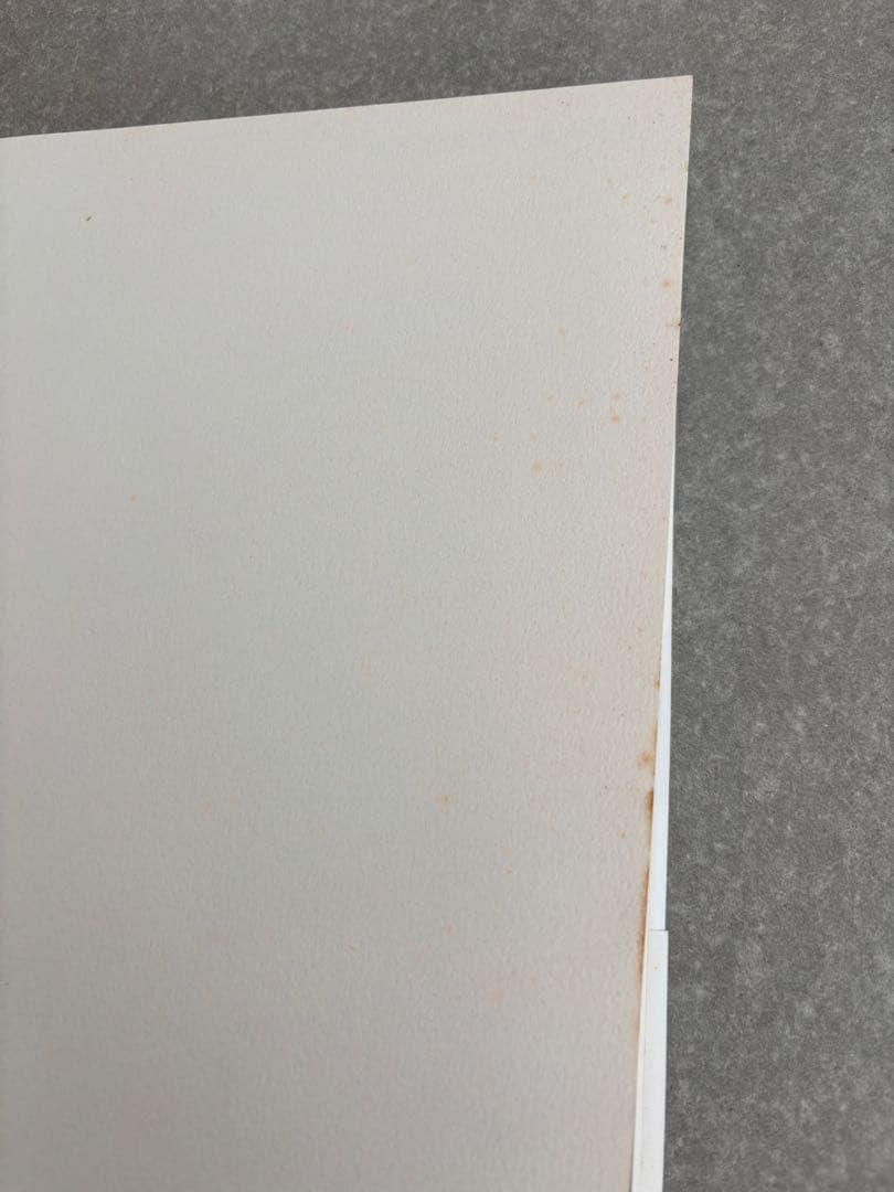 CARLO SCARPA 建築の詩人