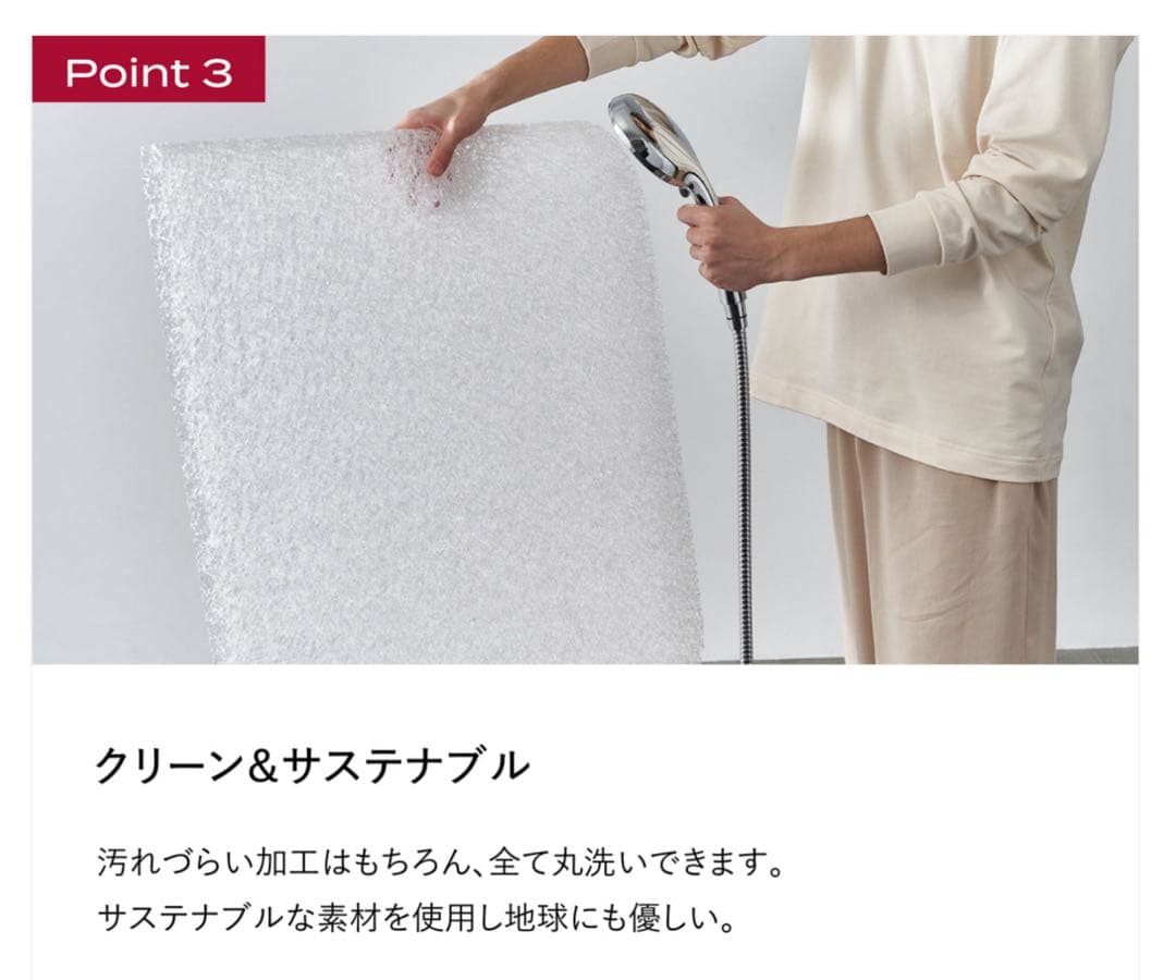 BRAIN SLEEP オールインワン マットレスのみ