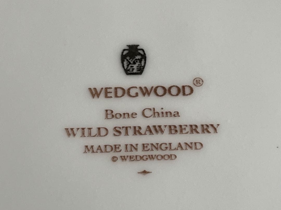  WILD STRAWBERRY 食器セット 5点