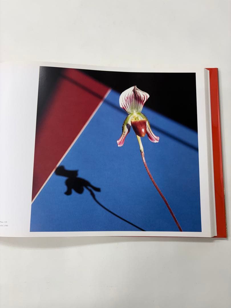 MAPLETHORPE: THE COMPLETE FLOWERS ※外箱付き