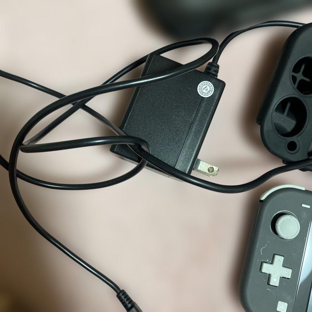 ヒ*ン様 Nintendo Switch Lite グレー 本体 充電器、ケース