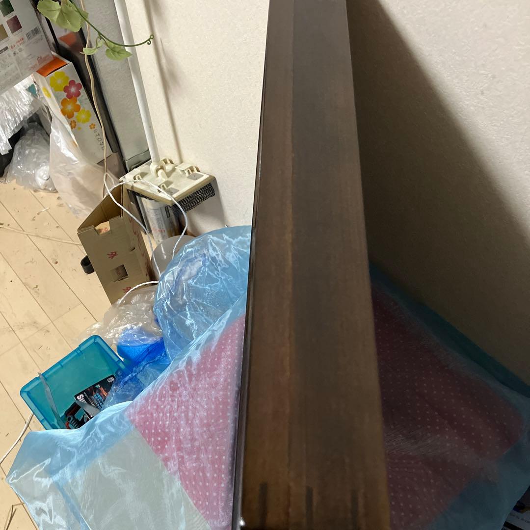 パラワンアカエリトリバネアゲハ♂♀