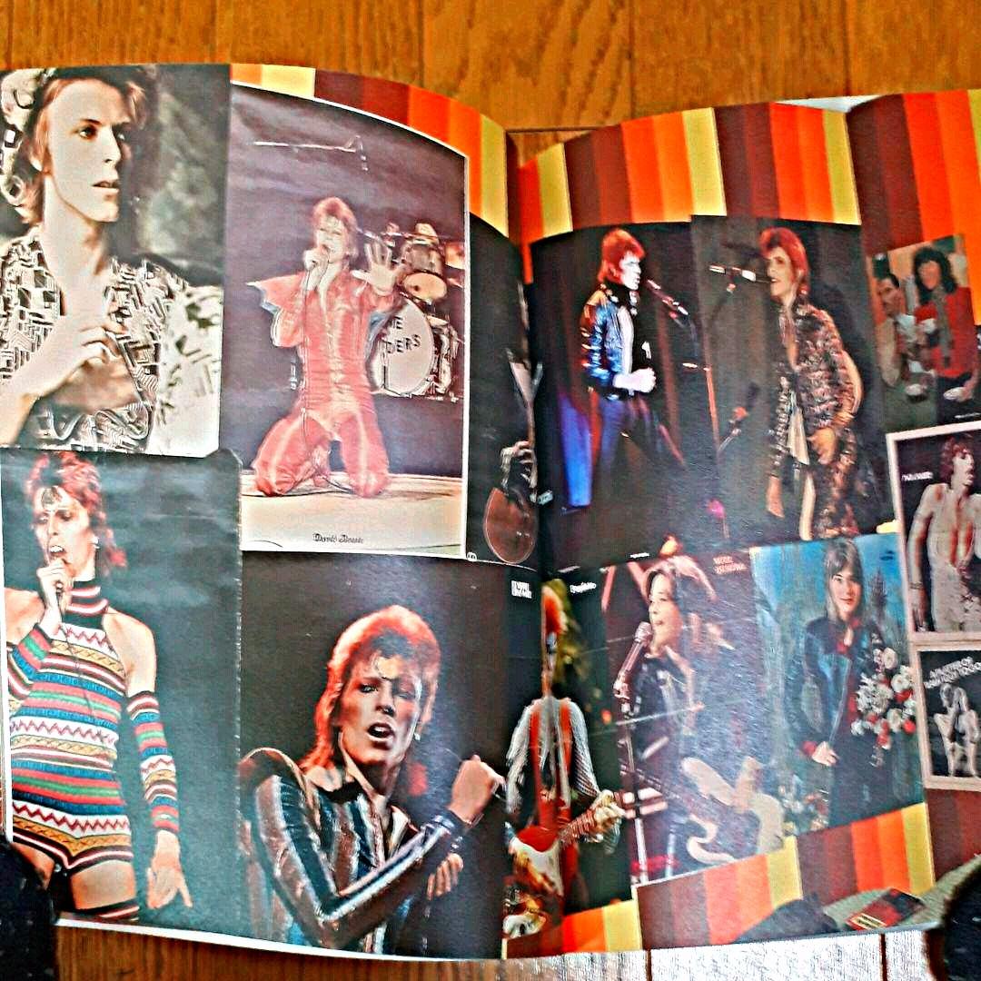 カルト・ロック・ポスター集　希少　貴重品