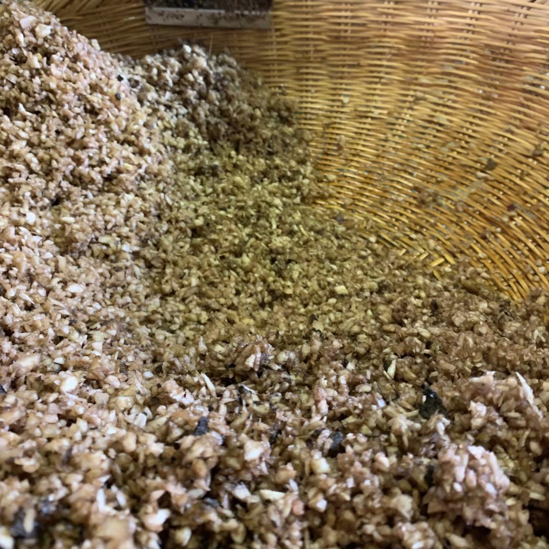 有機栽培ごぼう使用 自家焙煎ごぼう茶 100g