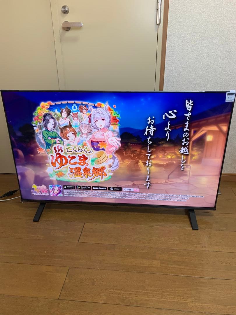 未使用に近い 極美品 レグザ 50V型　REGZA 50C350M