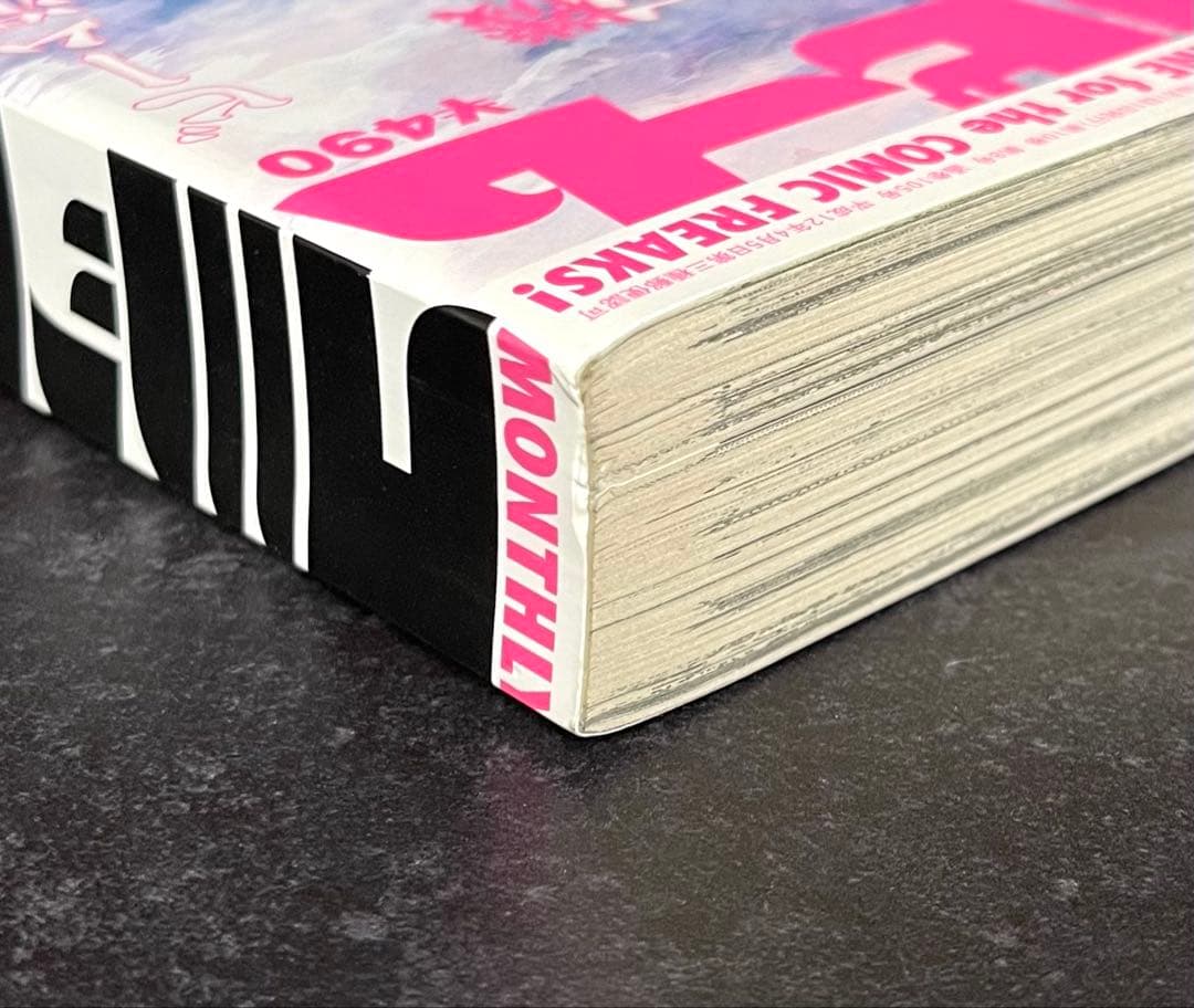 ●月刊コミックビーム 2004年 8月号 ●新連載 機動旅団八福神 福島聡