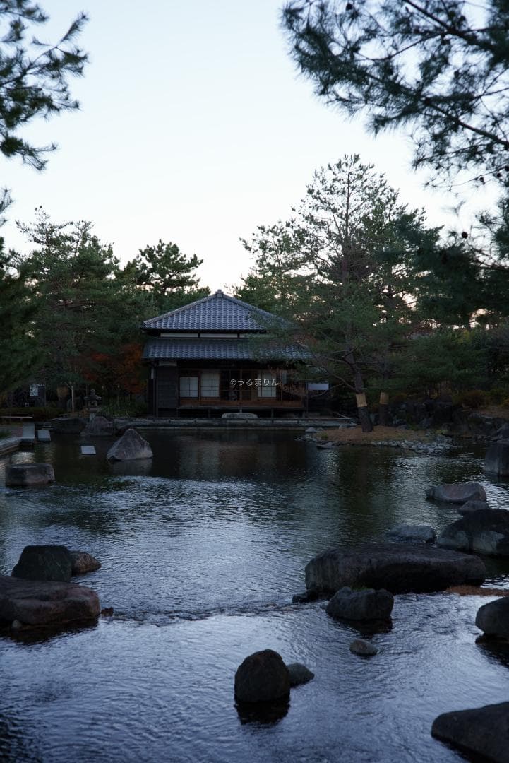 新品同様！Zeiss C Sonnar 50mm F1.5 ZM ライカM