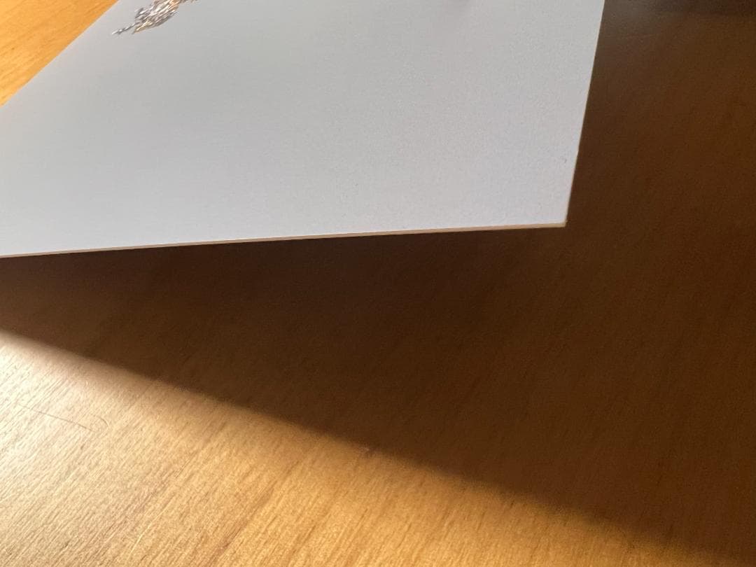 ［希少！サイン入りコレクター商品］名和晃平 SYNTHESIS 作品集＋おまけ付