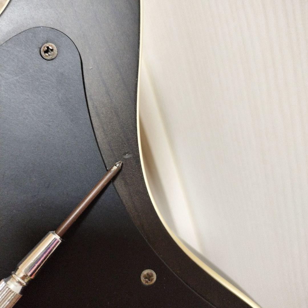 ギター FGN FUJIGEN JIL-ASH-DE664-M EMG