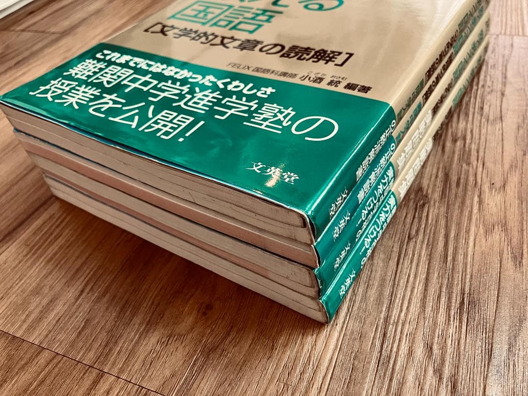 【未使用未記入】塾で教える国語　論理的文章の読解　文学的文章の読解　実践問題集