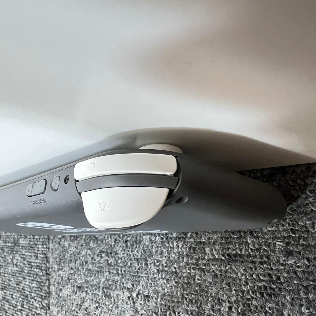 ひ*ん様 スイッチライト SwitchLite グレー 本体 2024年製 完品