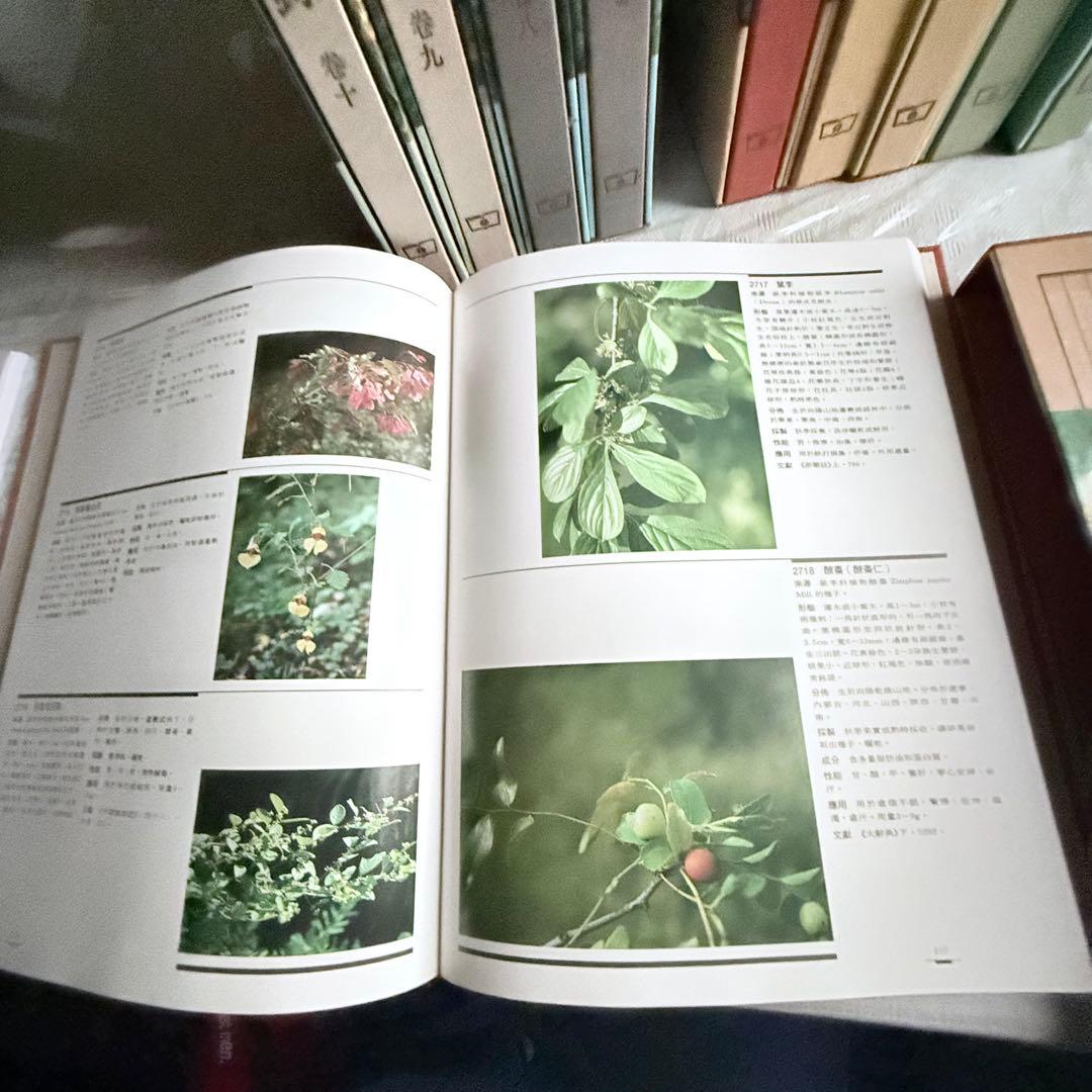超限定1月13日20時迄‼️漢薬フルカラー『中國本草圖錄』10巻揃￼中国語薬草図鑑