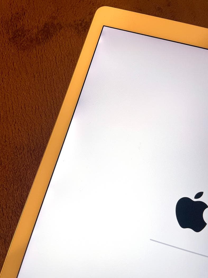 Apple iPad シルバー 本体とApple Pencilとケース（おまけ）