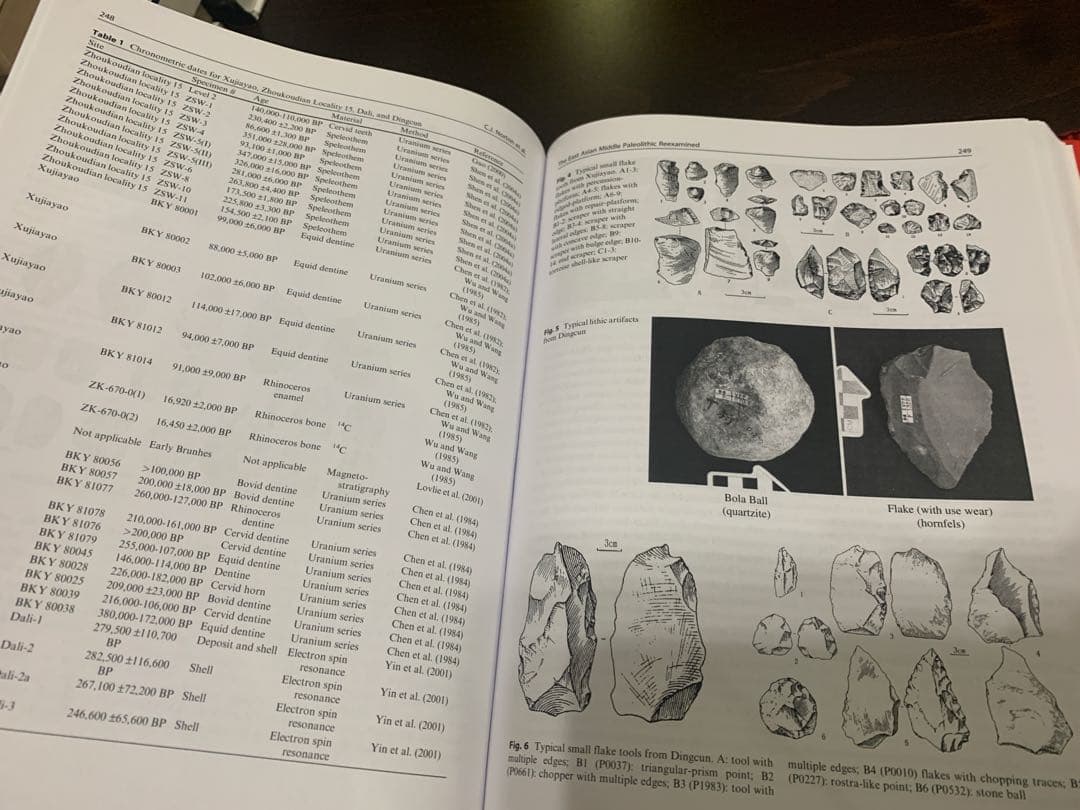 洋書 Sourcebook of Paleolithic Transitions