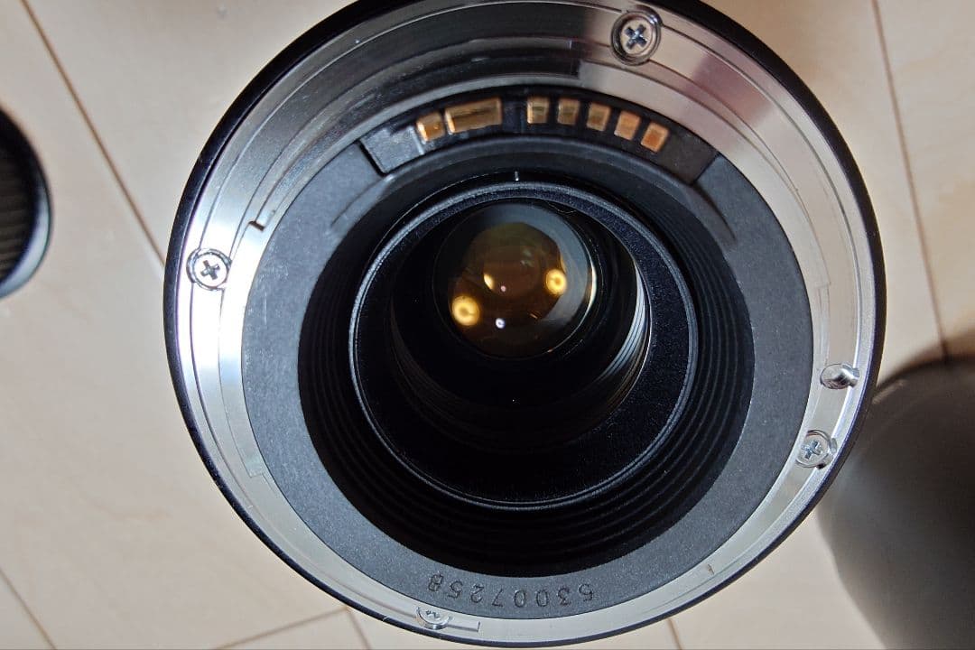 EF100mm F2.8 マクロ USM