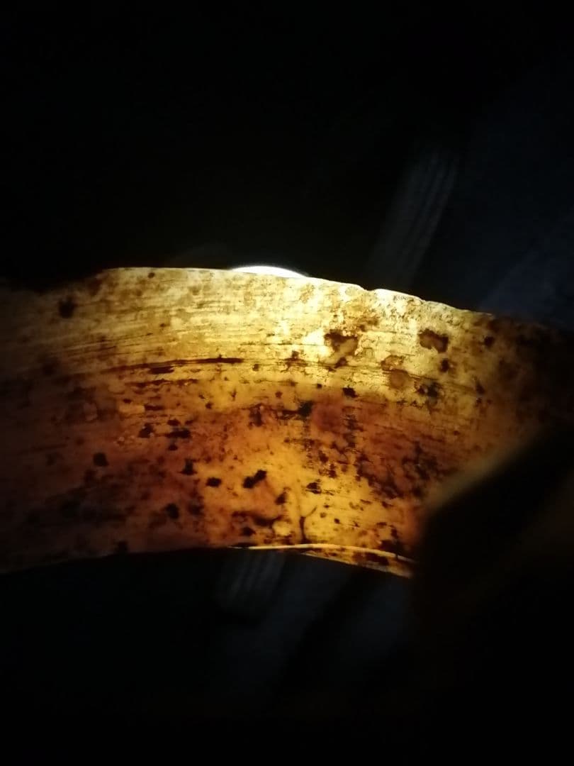 ★古墳初期『玉石垂飾輪』出土品。玉石　230g　埋蔵文化財　非常に貴重なものです