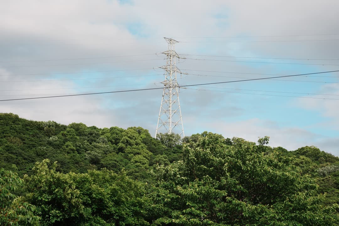 レンズ(単焦点) Carl Zeiss makro-Planar 100mm F2.8 AE 21