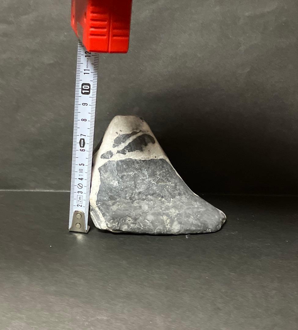 『超レア、置き石』富士山風