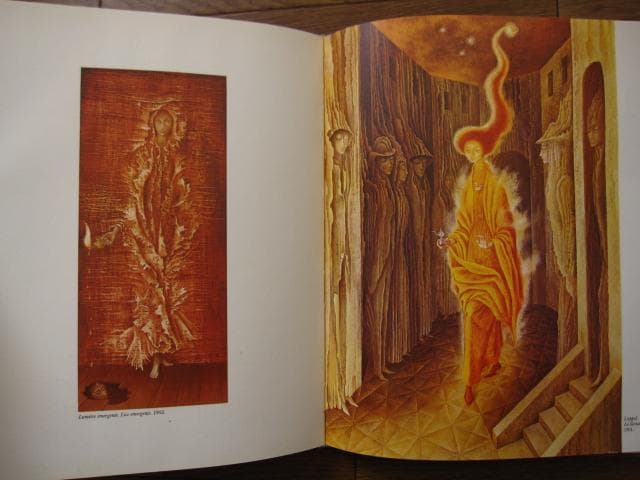 REMEDIOS VARO　レメディオス・バロ　画集