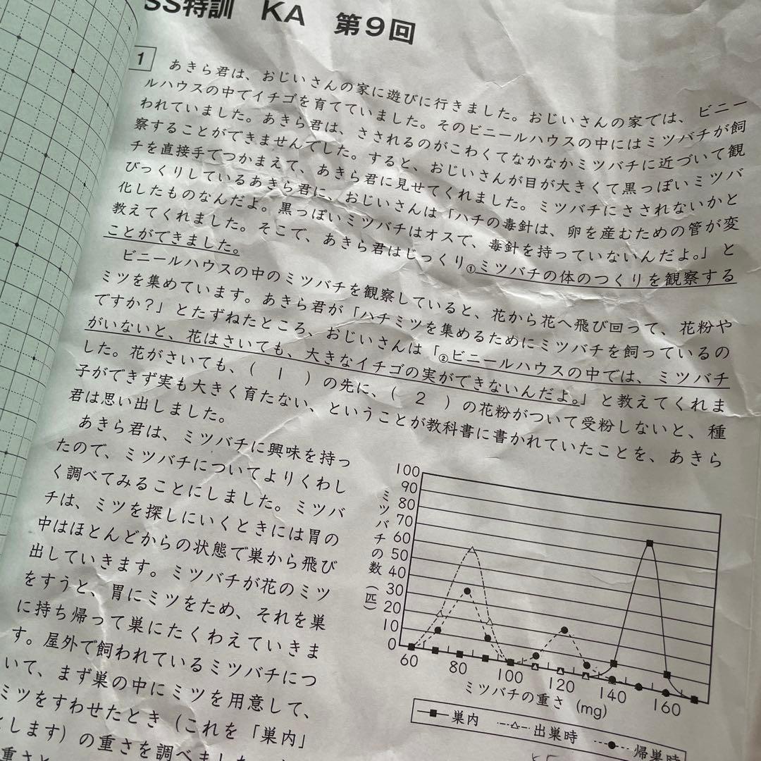 サピックス　開成コース理科対策プリント　冬期講習　正月特訓　SSKA 日曜日特訓