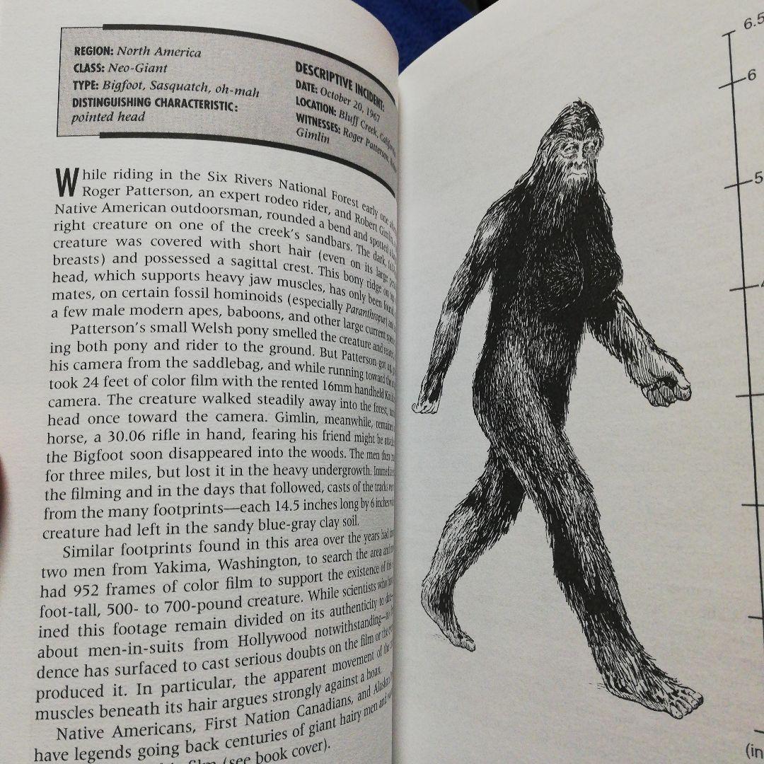 洋書 Field Guide to Bigfoot/Coleman (Signed)