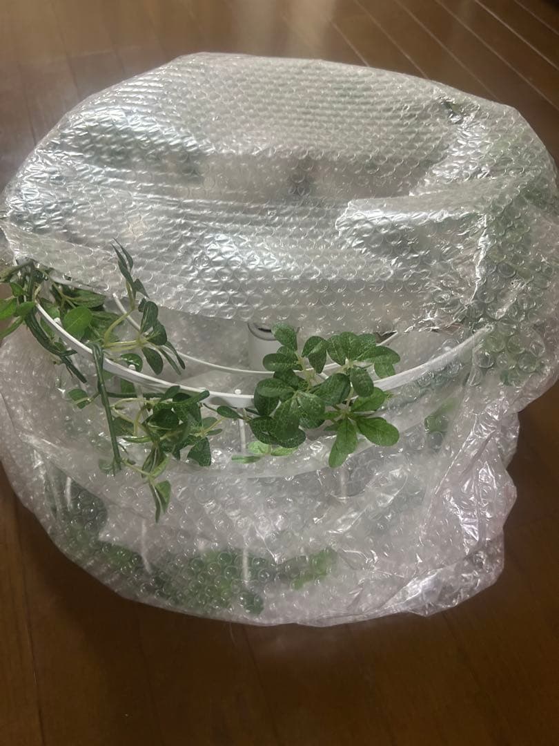 植物と鳥のデザイン ペンダントライト