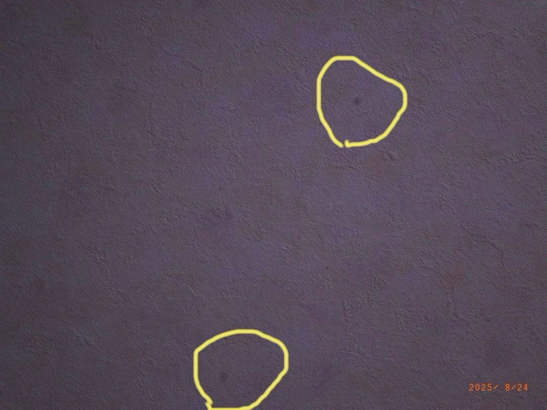 リコー　GR APS-C