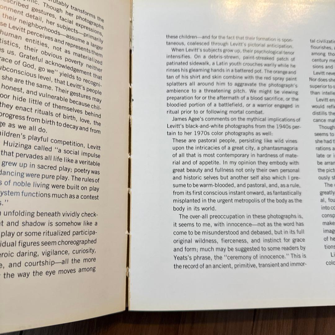 アート・デザイン・音楽 the new color photography