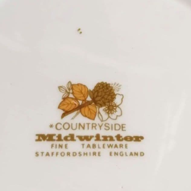 未使用 ビンテージ Midwinter COUNTRYSIDE リム付きプレート