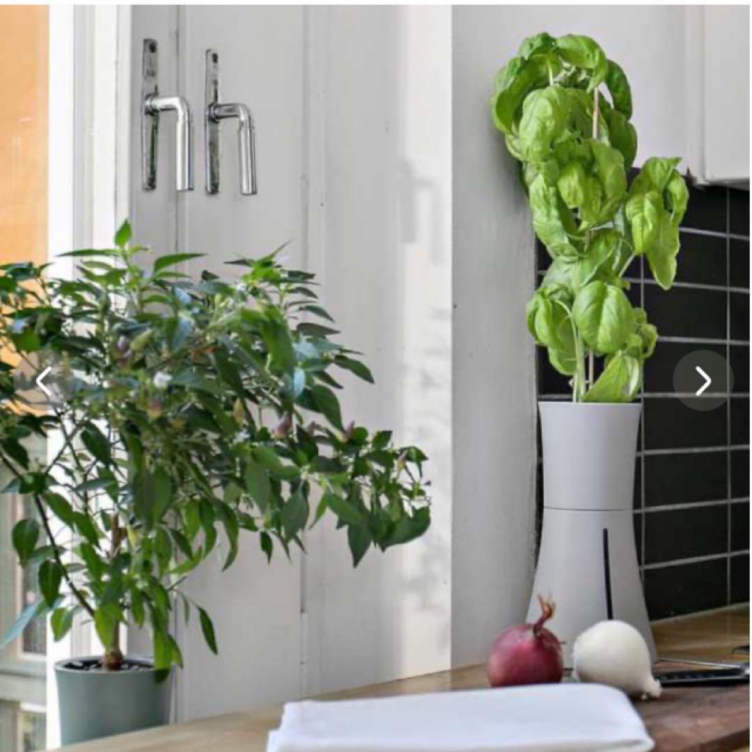 くーちゃんさん専用