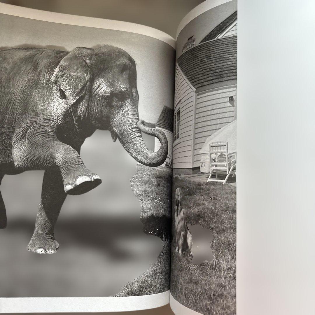 洋書 GOLDEN RETRIEVER PHOTOGRAPHIC SOCIEYT