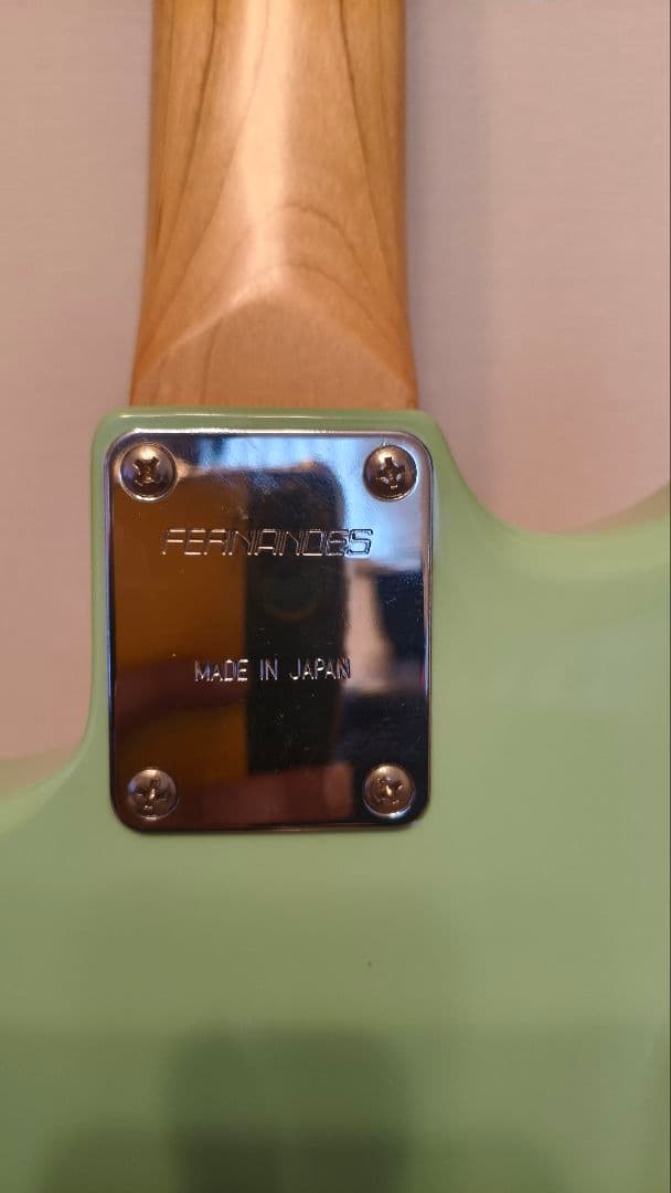 初期型18Vフルモード　サスティナーFERNANDES LE-2FS-改