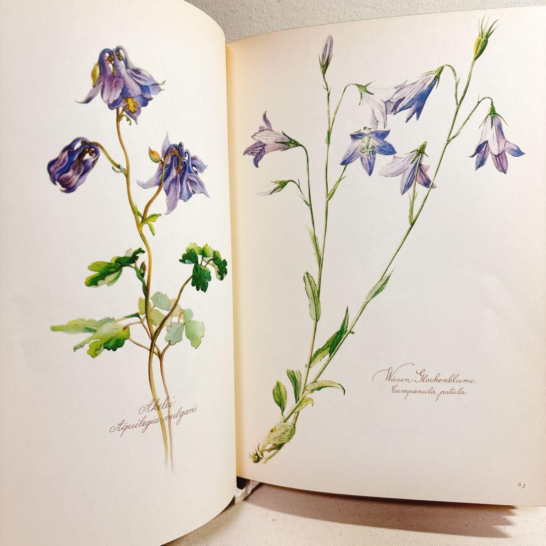美しい植物画 Elsa Felsko 植物図鑑2冊 Blumen 洋書 すずらん