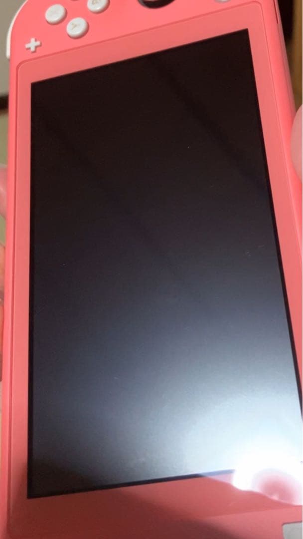 Nintendo Switch Lite ピンク 本体 充電器・ケース付き