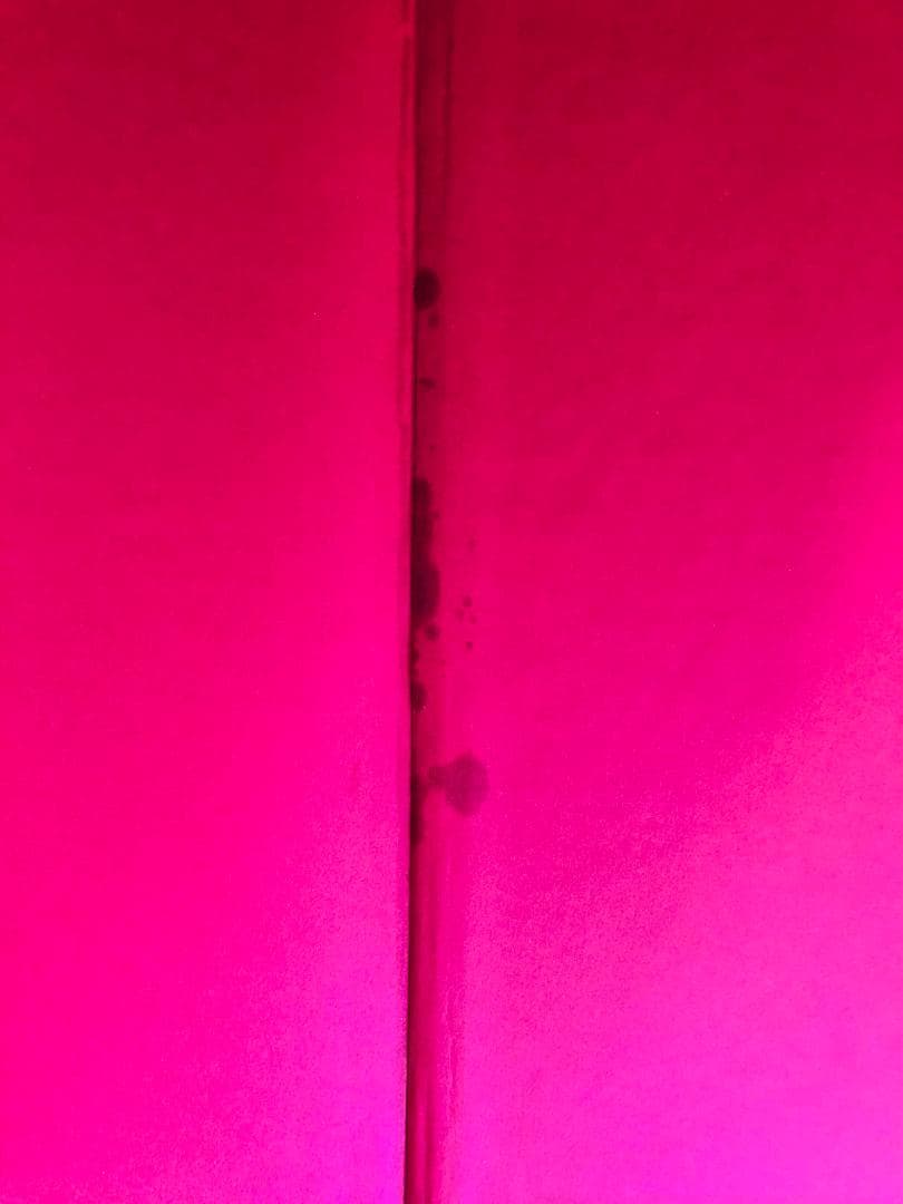 AngloMania アングロマニア:英国ファッションにおける伝統と違反