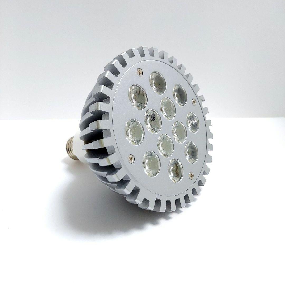 アクアリウムライト