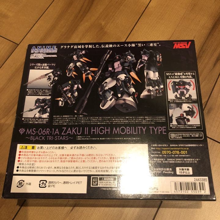 ROBOT魂 ANIME 高機動型ザクⅡ 黒い三連星