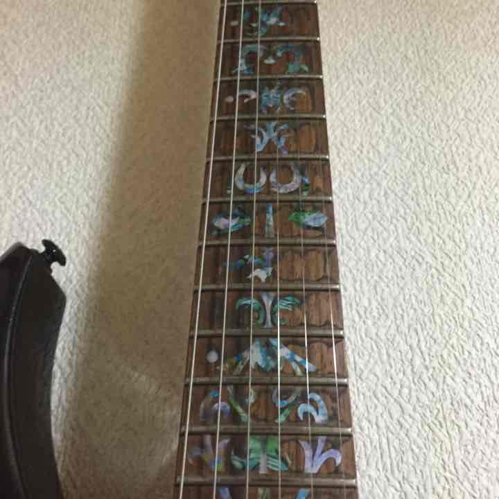 ギター グラスルーツ  値下げ