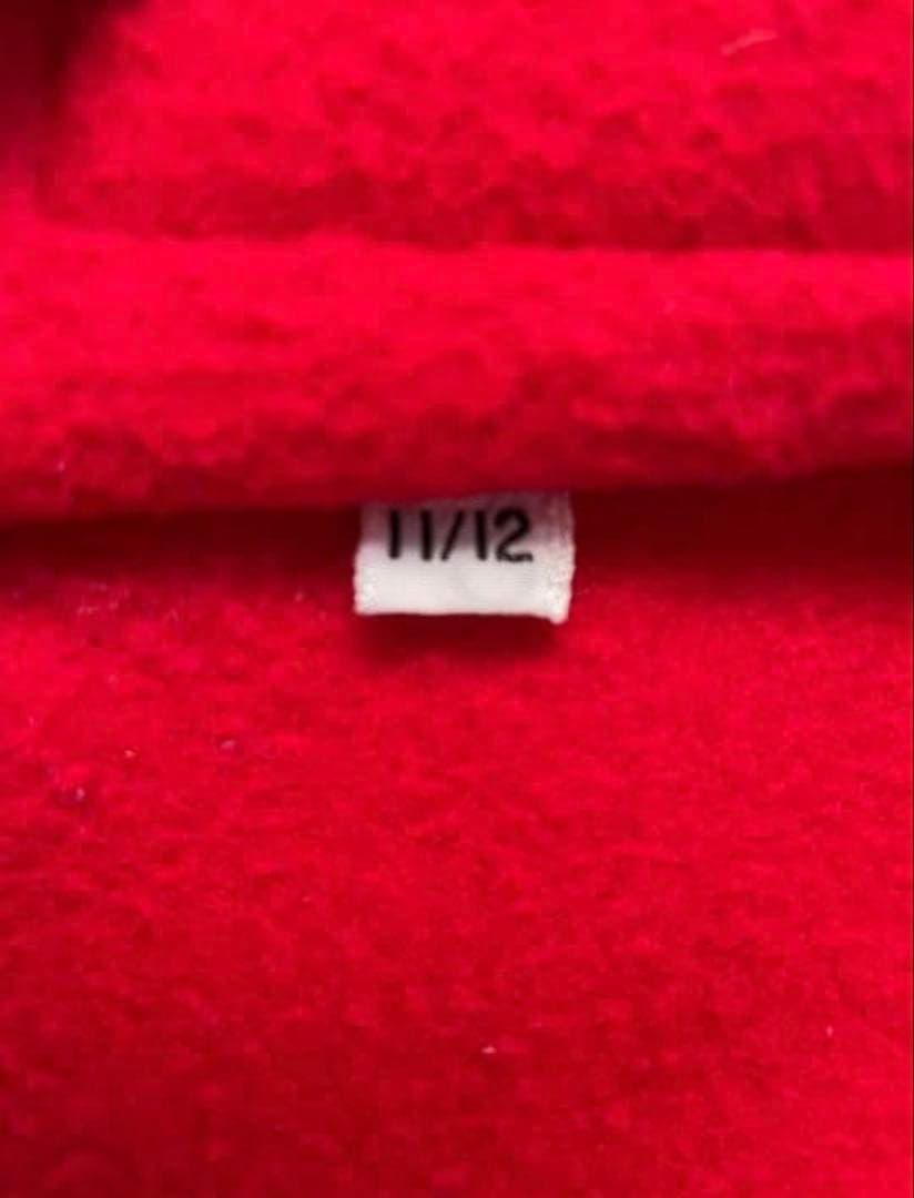 Patagonia apple フリース ビューティフルライフ