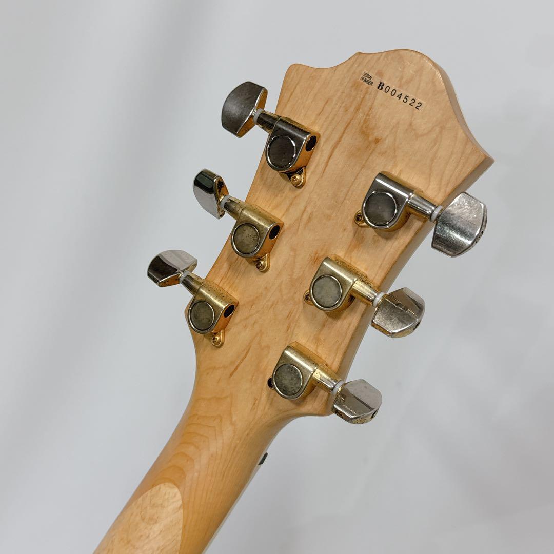 B.C.Rich Eagle/イーグル フレイムトップ バーズアイネック！リッチ