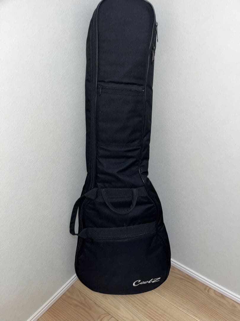 COOLZ　クールジー　ZST-M1R　cfs　ミディアム　フジゲン