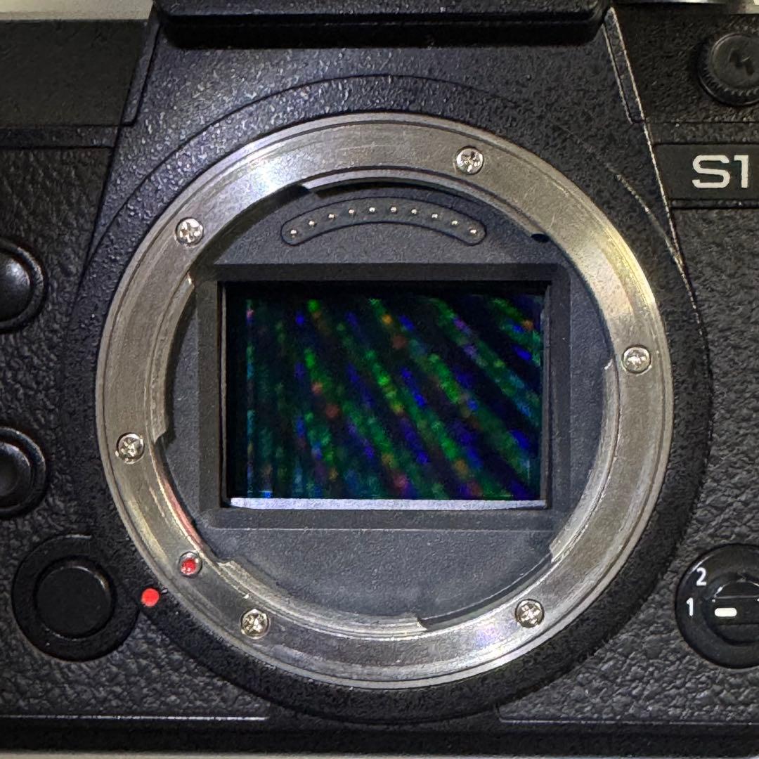 Panasonic Lumix S1 フルサイズミラーレス一眼