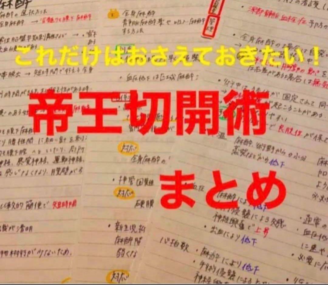 助産師　助産学生　実習国家試験対策味方セット　解剖帝王切開　フィジカル　事前学習