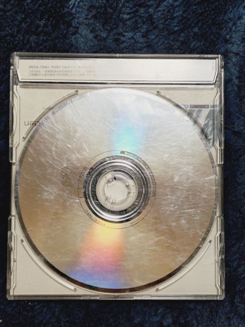 邦楽 Sunflower's Garden - Believe in tomorrow