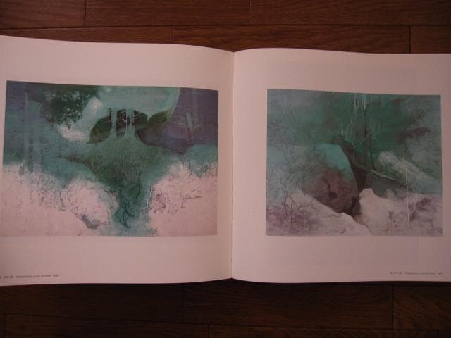 刻 : 田渕俊夫 画集