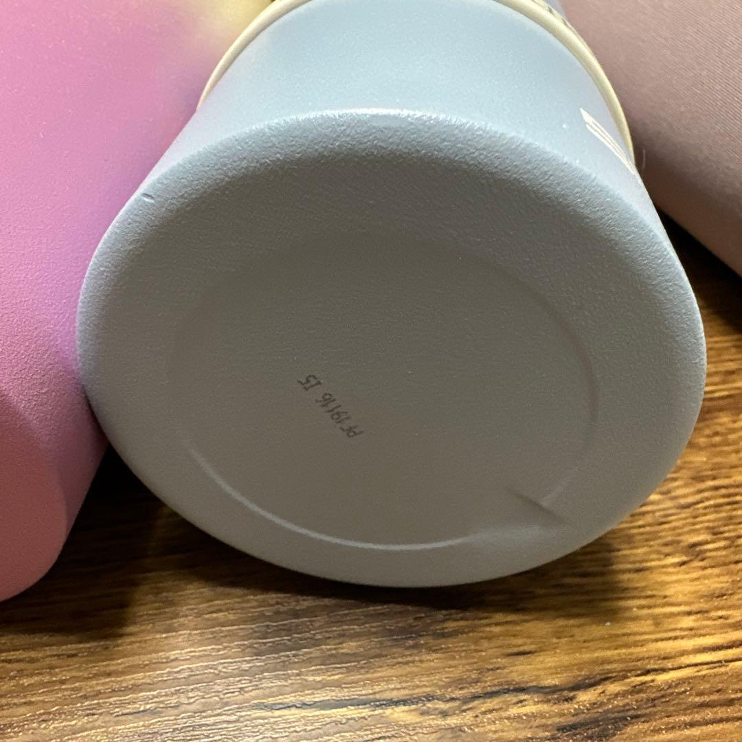 ホットヨガLAVA SIGG 水素ボトル2本・ゴムバンド・カバー・専用バッグ