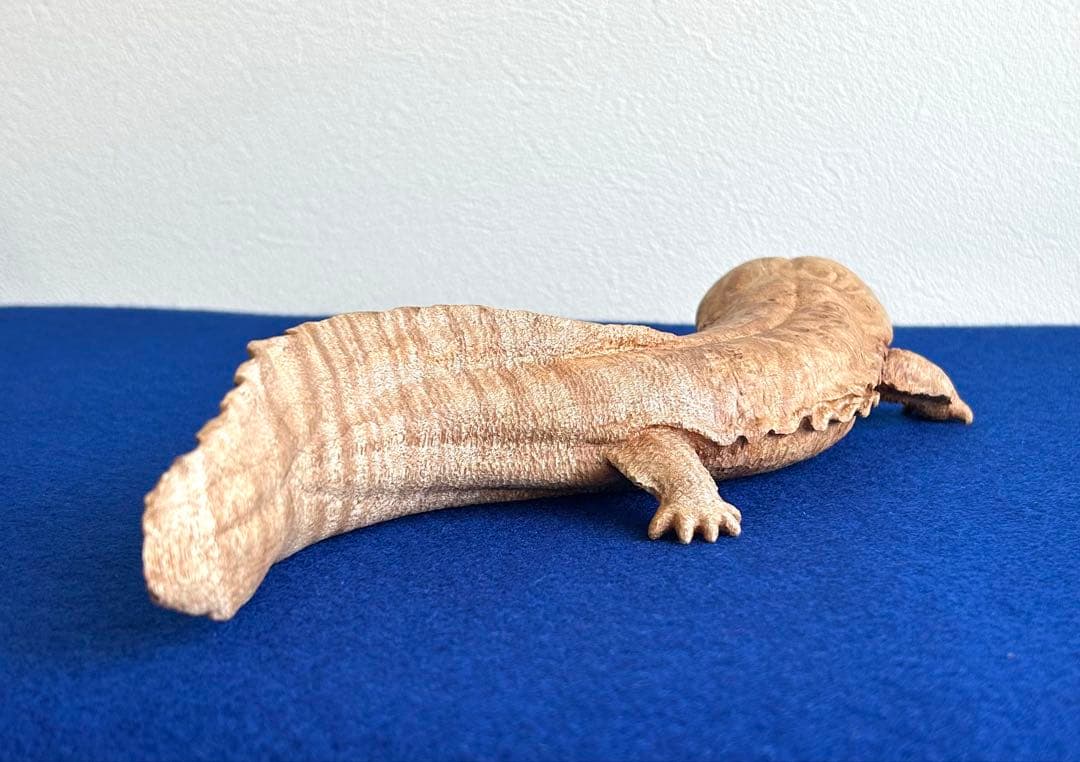 田中鱗水 メープル瘤材彫オオサンショウウオ 木彫 26cm 125.52g