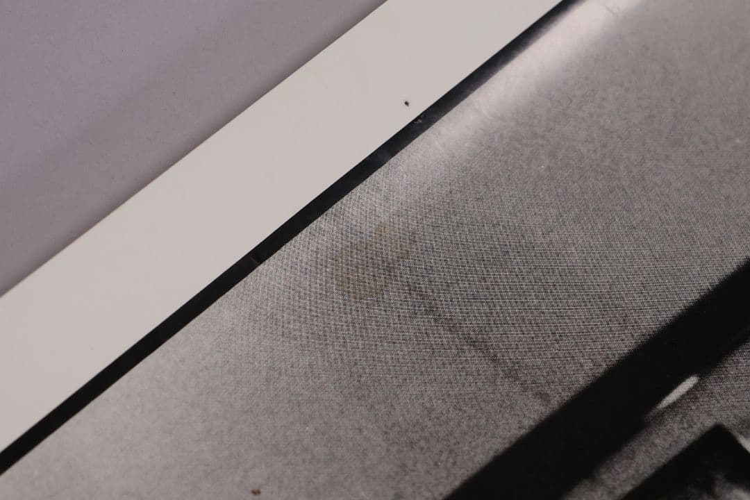 【CM104】B1判 映画ポスター「ダウン・バイ・ロー」トム・ウェイツ 白黒