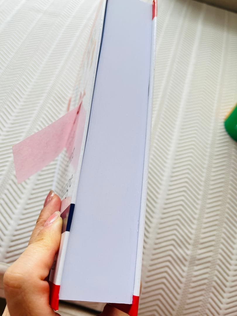 【ほぼ未使用・美品】NTL組織開発と変革ハンドブック英語版 専門書Wiley出版